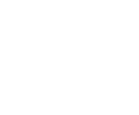 Sketon logo